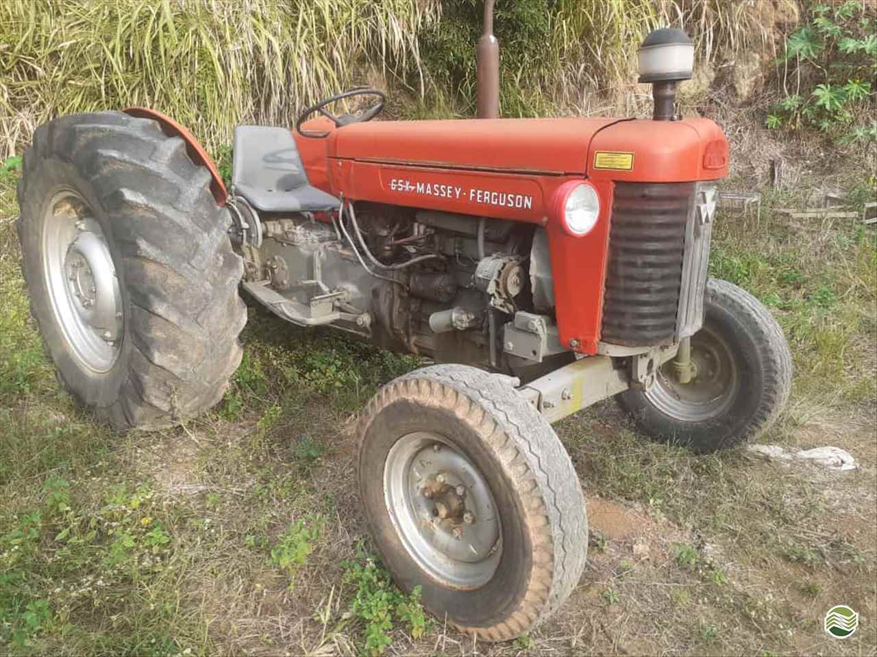 TRATOR MASSEY FERGUSON MF 65 Tração 4x2 Sumaré Máquinas e Veículos SUMARE SÃO PAULO SP